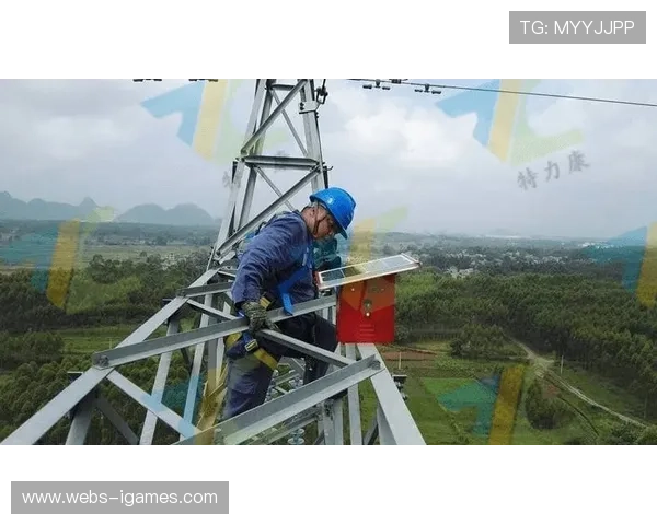 声波驱鸟装置保护户外球场设施，减少清洁维护频率